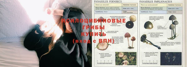 Альфа ПВП Алзамай