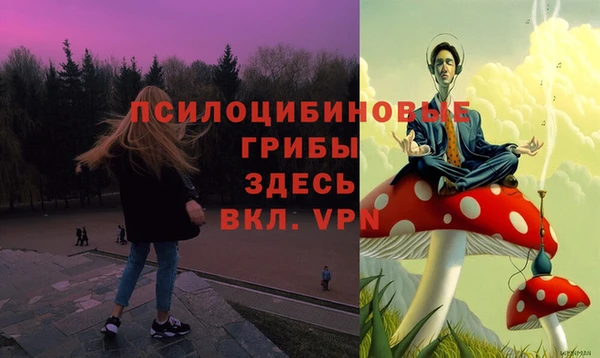 Альфа ПВП Алзамай