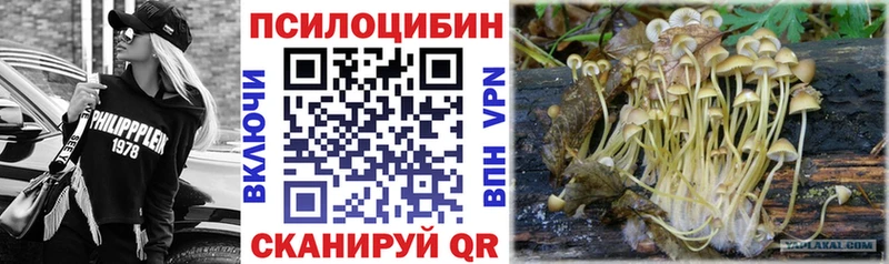 Галлюциногенные грибы мицелий  Гусь-Хрустальный 